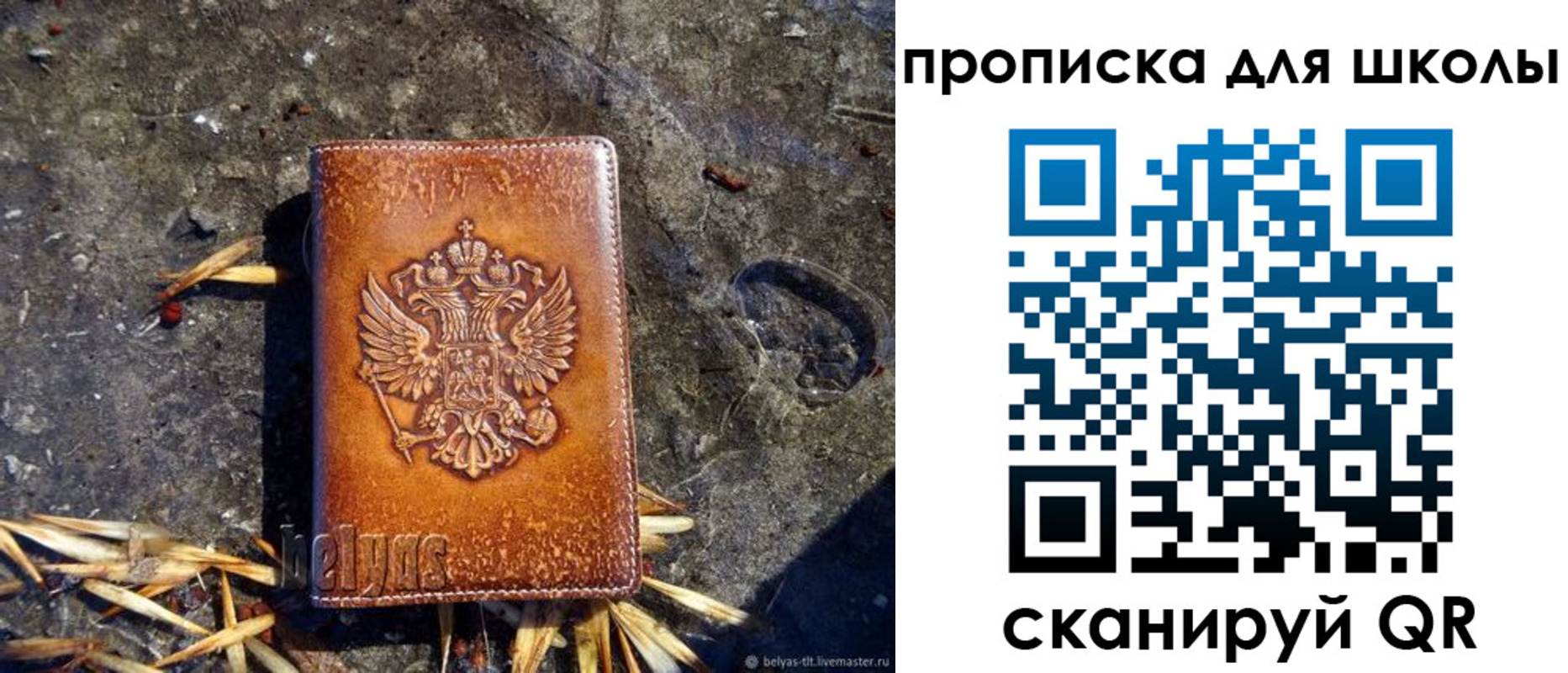 регистрация для школы в Димитровграде